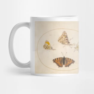 Orange Tip, Painted Lady, Southern Small White, and Small Tortoiseshell Butterflies Mug